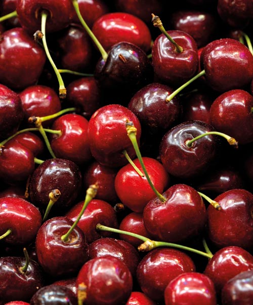 sauerkirsche